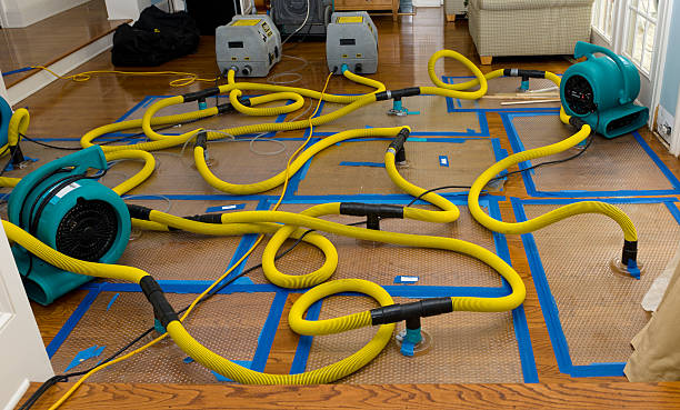 Professional Flood Damage Restoration technician working in Waconia, MN